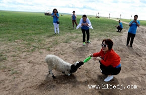與大草原的動物親密接觸合影留念