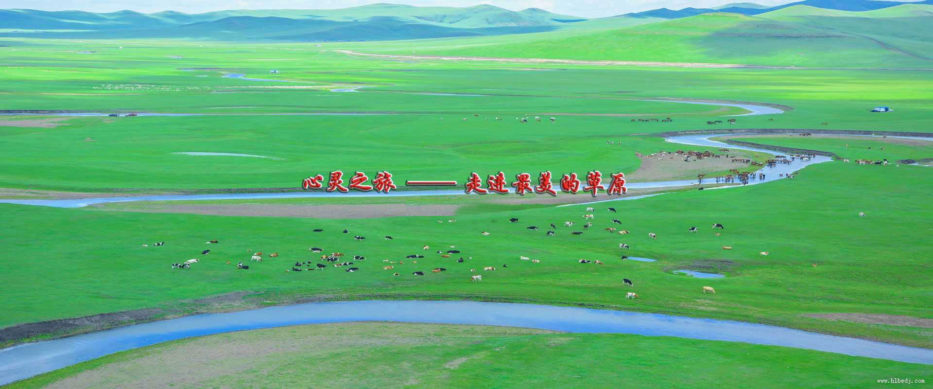 呼倫貝爾多嬌旅行社，精挑細選每一條旅游線路，自由行,自助游,深度游,自駕游,跟團游,讓您深度體驗呼倫貝爾大草原,歡迎光臨咨詢！
