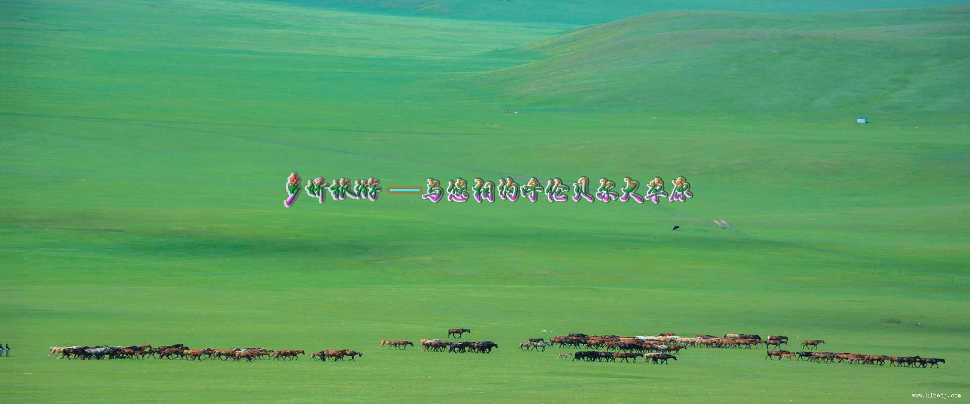 呼倫貝爾多嬌旅行社精挑細選每一條旅游線路，讓每一位前來旅游的朋友，都能深度體驗自由行,包車游,跟團游,自駕游,自助游,親子游,研學旅游線路等，歡迎咨詢了解！